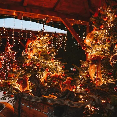 Hotel Boutique Pinzgauerhof 3*