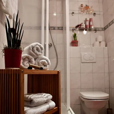 Hotel Boutique Pinzgauerhof 3*