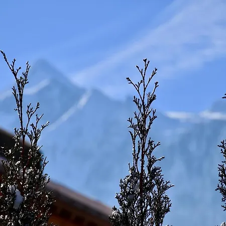 Boutique Pinzgauerhof Kaprun